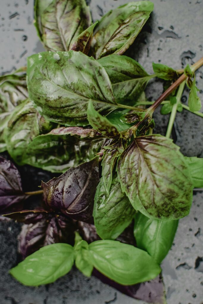 Basil Leaves & Powder