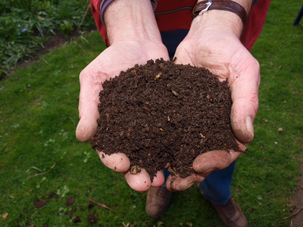 Biofertilizer
